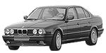 BMW E34 P1271 Fault Code